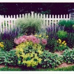 Perennial Planting