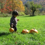 Picking Pumpkins