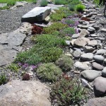 Rock Garden