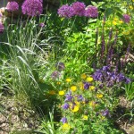 Summer Planting