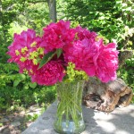 Peonies and Ladies Mantle