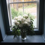 White Roses