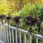 flowers on the porch